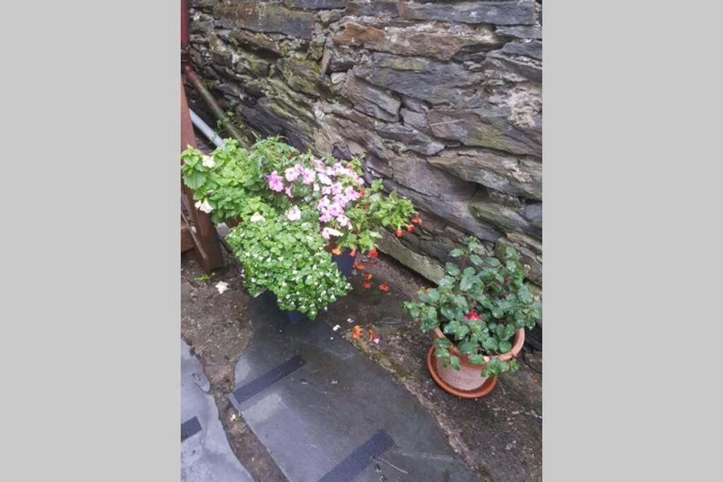Porthmadog Harbour Town - High Street Apartment. 外观 照片